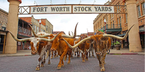 Dfwdt Attractions Stockyards 8314 Hor Wide 300x150