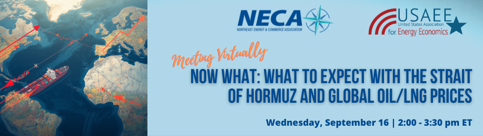 Usaee Ne Webinar Banner